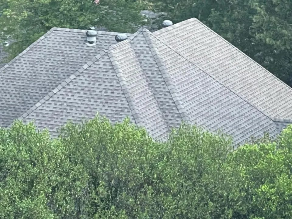 New hip roof framed by greenery